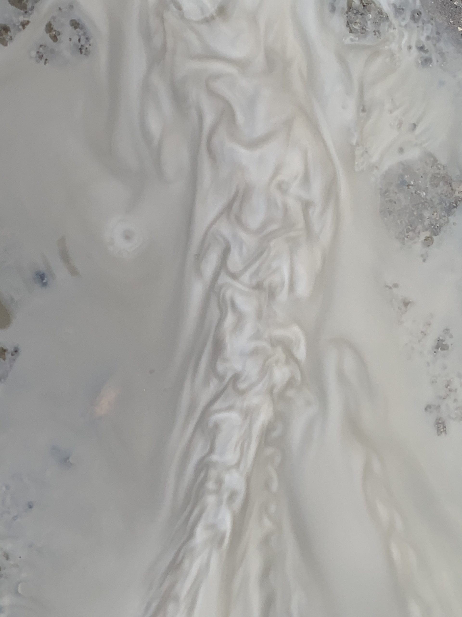 June 20, 2019